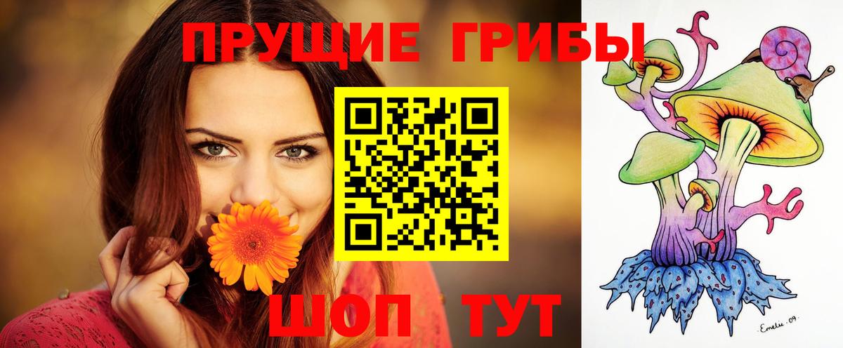 Псилоцибиновые грибы мицелий Майкоп
