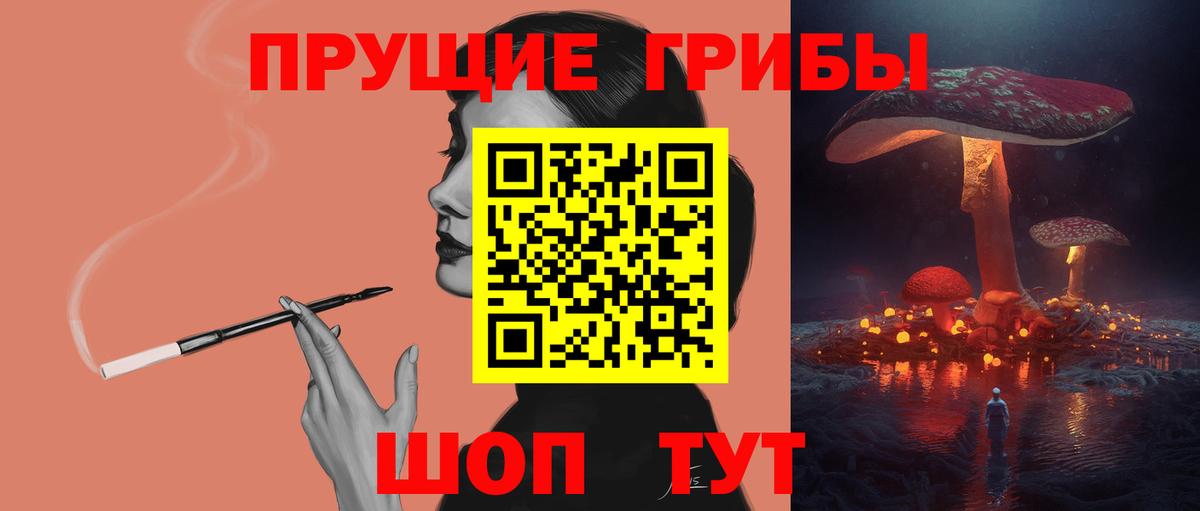 Псилоцибиновые грибы Psilocybe  наркота  Майкоп  Вход с VPN 